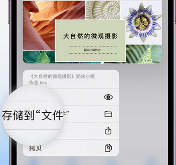 邹城apple维修中心分享iPhone文件应用中存储和找到下载文件