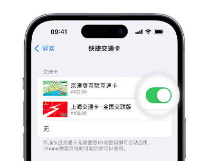 邹城apple维修点分享iPhone上更换Apple Pay快捷交通卡手绘卡面 