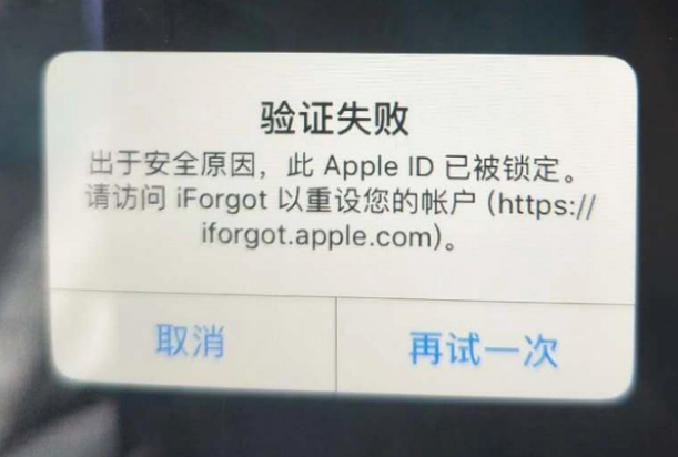 邹城iPhone维修分享iPhone上正常登录或使用AppleID怎么办 