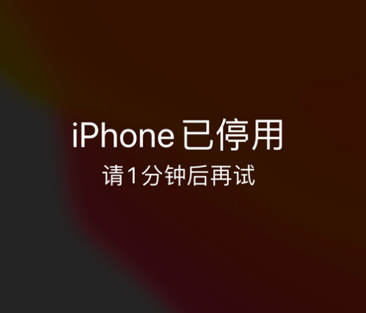 邹城苹果手机维修分享:iPhone 显示“不可用”或“已停用”怎么办？还能保留数据吗？ 