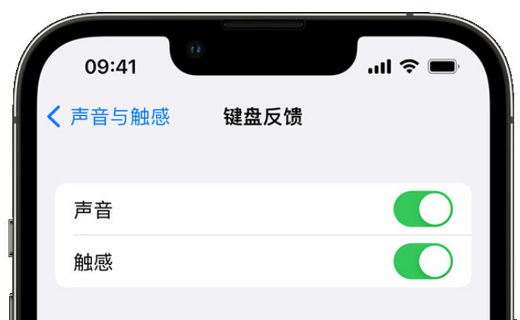 邹城苹果手机维修分享iPhone 14触感键盘使用方法 