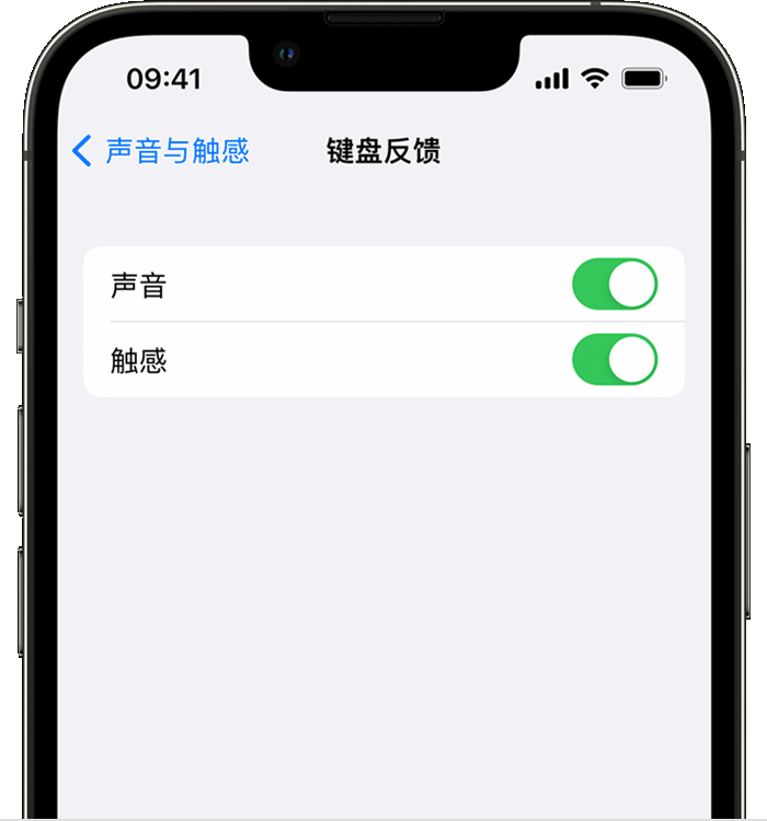 邹城苹果14维修店分享如何在 iPhone 14 机型中使用触感键盘 