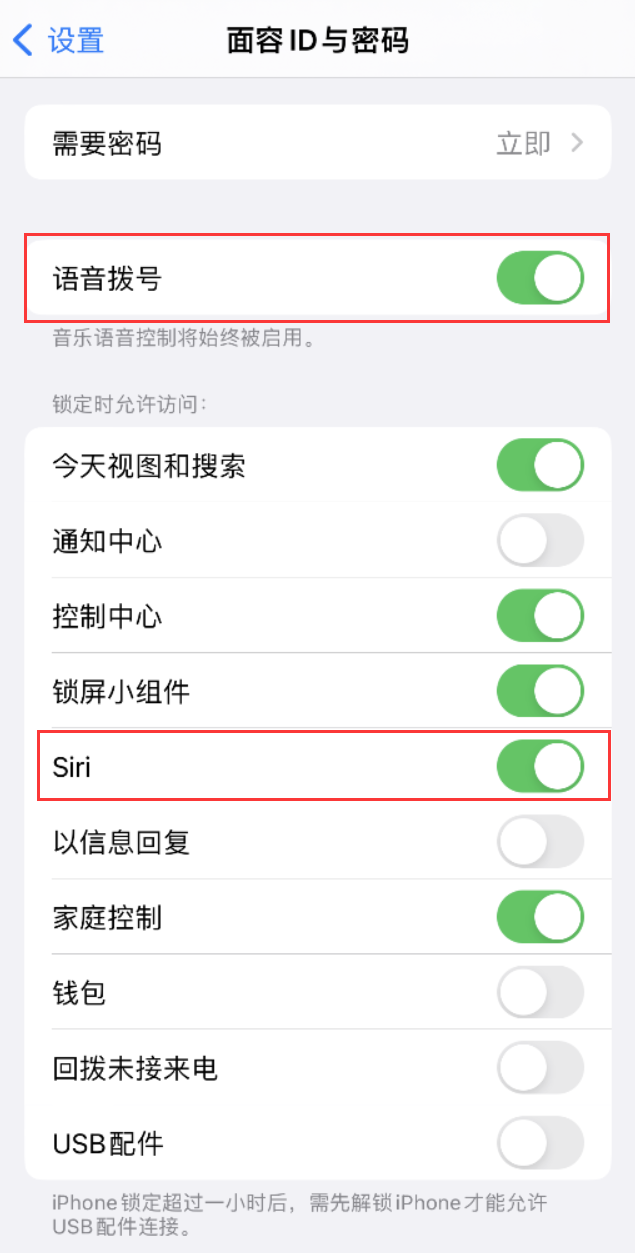 邹城苹果维修网点分享不解锁 iPhone 的情况下通过 Siri 拨打电话的方法 