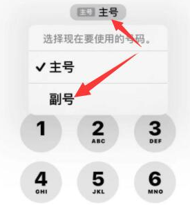 邹城苹果14维修店分享iPhone 14 Pro Max使用副卡打电话的方法 