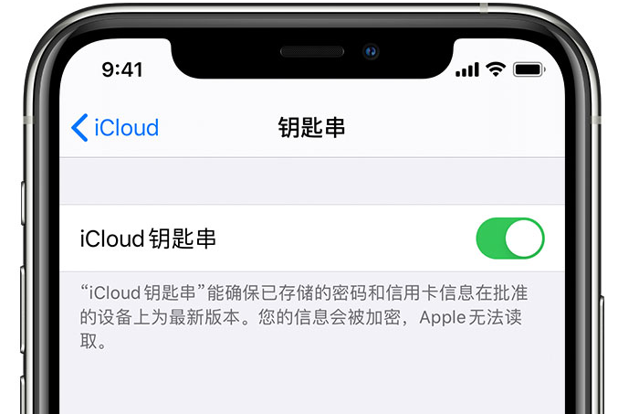 邹城苹果手机维修分享在 iPhone 上开启 iCloud 钥匙串之后会储存哪些信息 