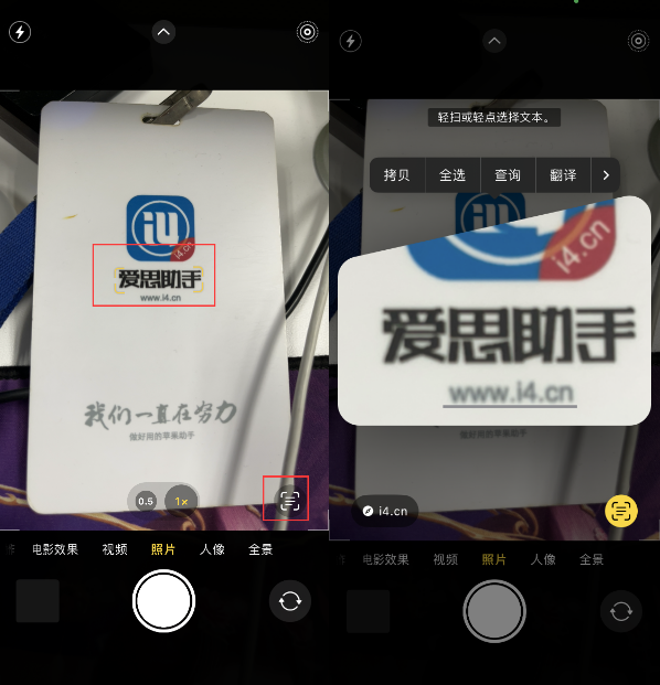 邹城苹果手机维修分享升级iOS 16后如何通过相机翻译文本 