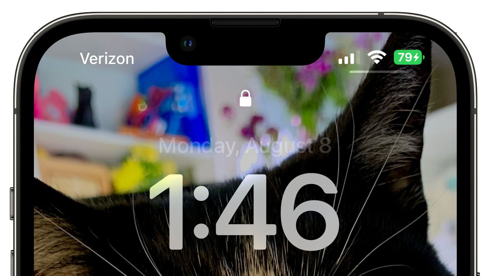 邹城苹果手机维修分享iOS 16 beta 5 支持状态栏显示电池百分比，如何开启？支持哪些机型 