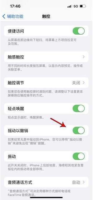 邹城苹果手机维修分享iPhone手机如何设置摇一摇删除文字 