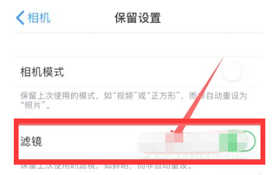 邹城苹果13维修分享iPhone13拍照有绿点是怎么回事 