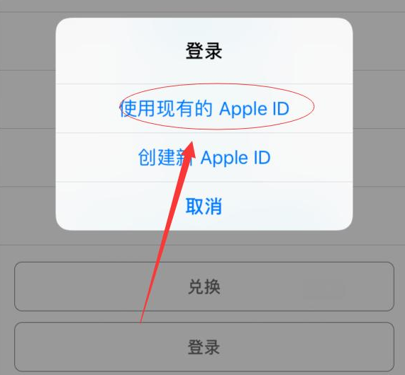 邹城苹果手机维修分享两台iPhone设备可以同时登录一个Apple ID吗 