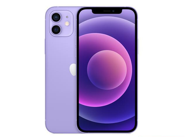 邹城苹果手机维修分享现阶段要不要入手紫色版iPhone12 