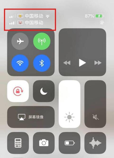 邹城苹果手机维修分享为 iPhone 12 双卡设置标签 