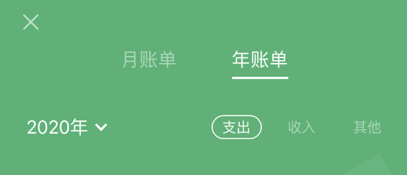 邹城苹果手机维修分享如何在 iPhone 上查看支付宝和微信年支出账单 